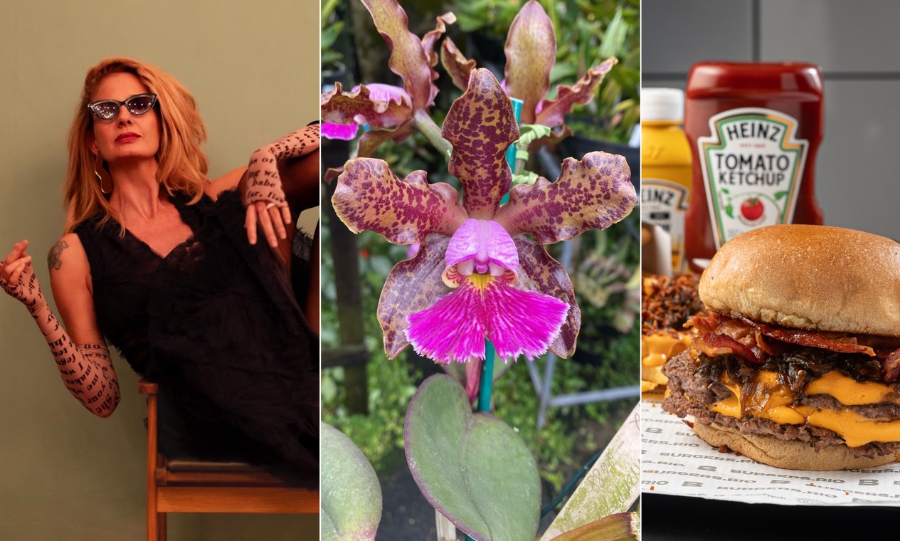 Festival de hambúrguer, festas de Halloween, visita noturna no Jardim Botânico e mais! Festival de hambúrguer, festas de Halloween, visita noturna no Jardim Botânico e mais!